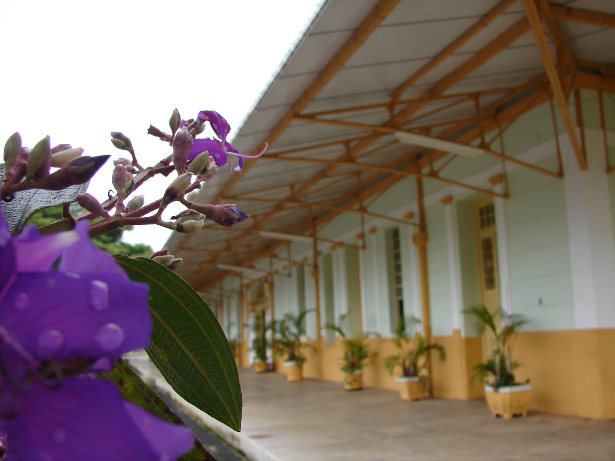 Araxá – Centro de tecelagem