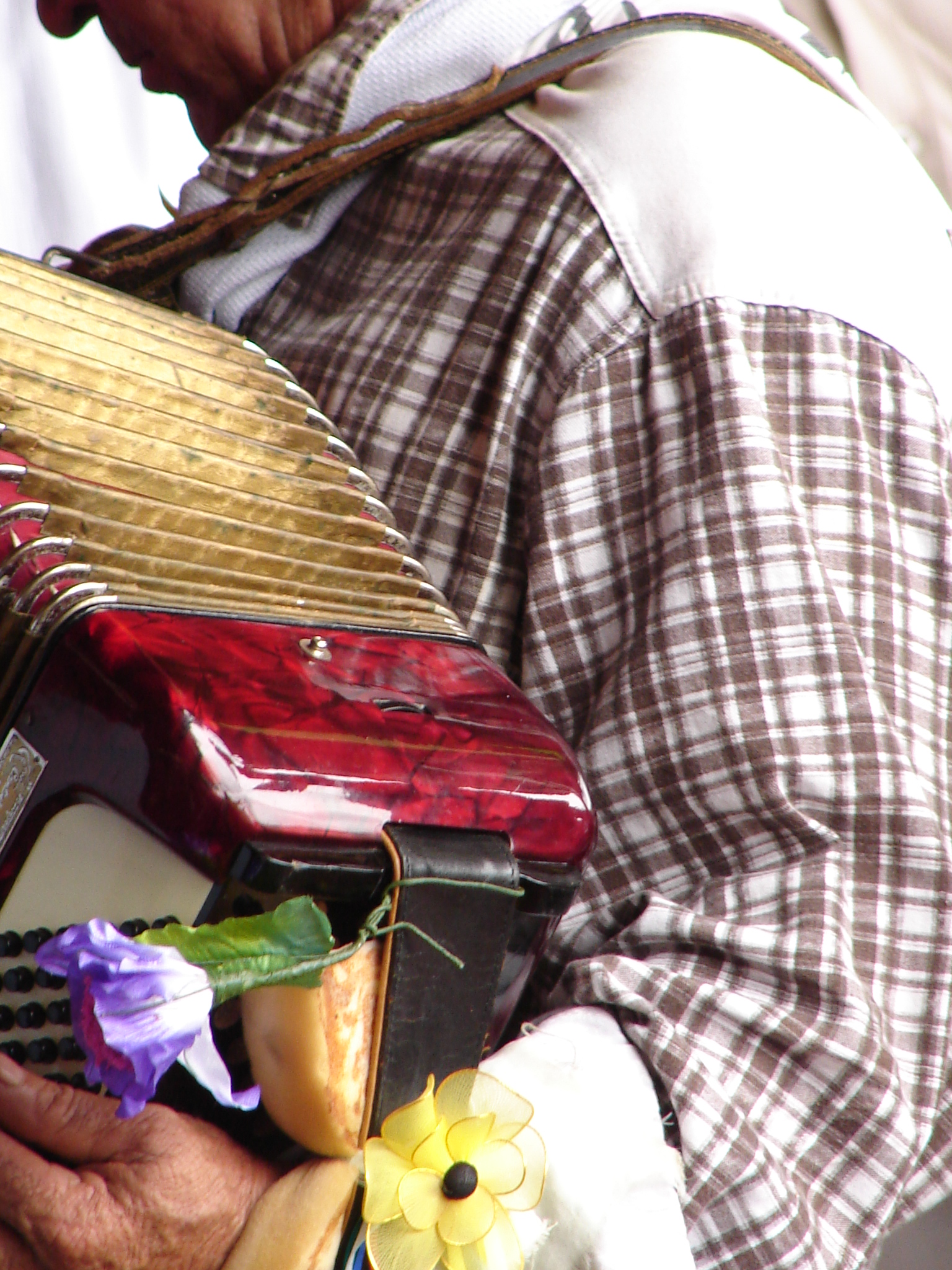 Festa de Santos Reis – Sanfona