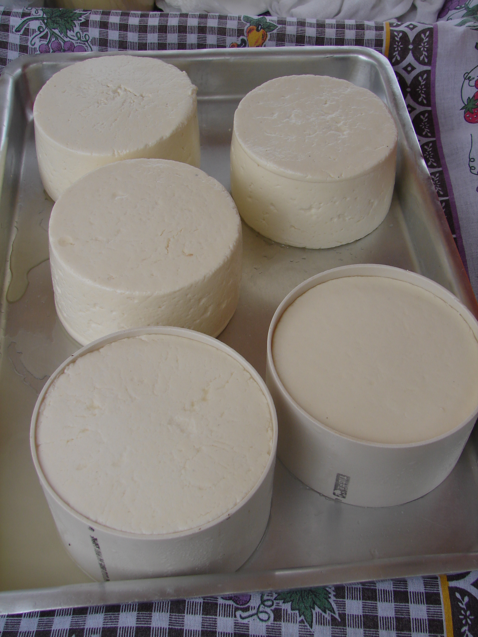 Frutal – Queijo frescal