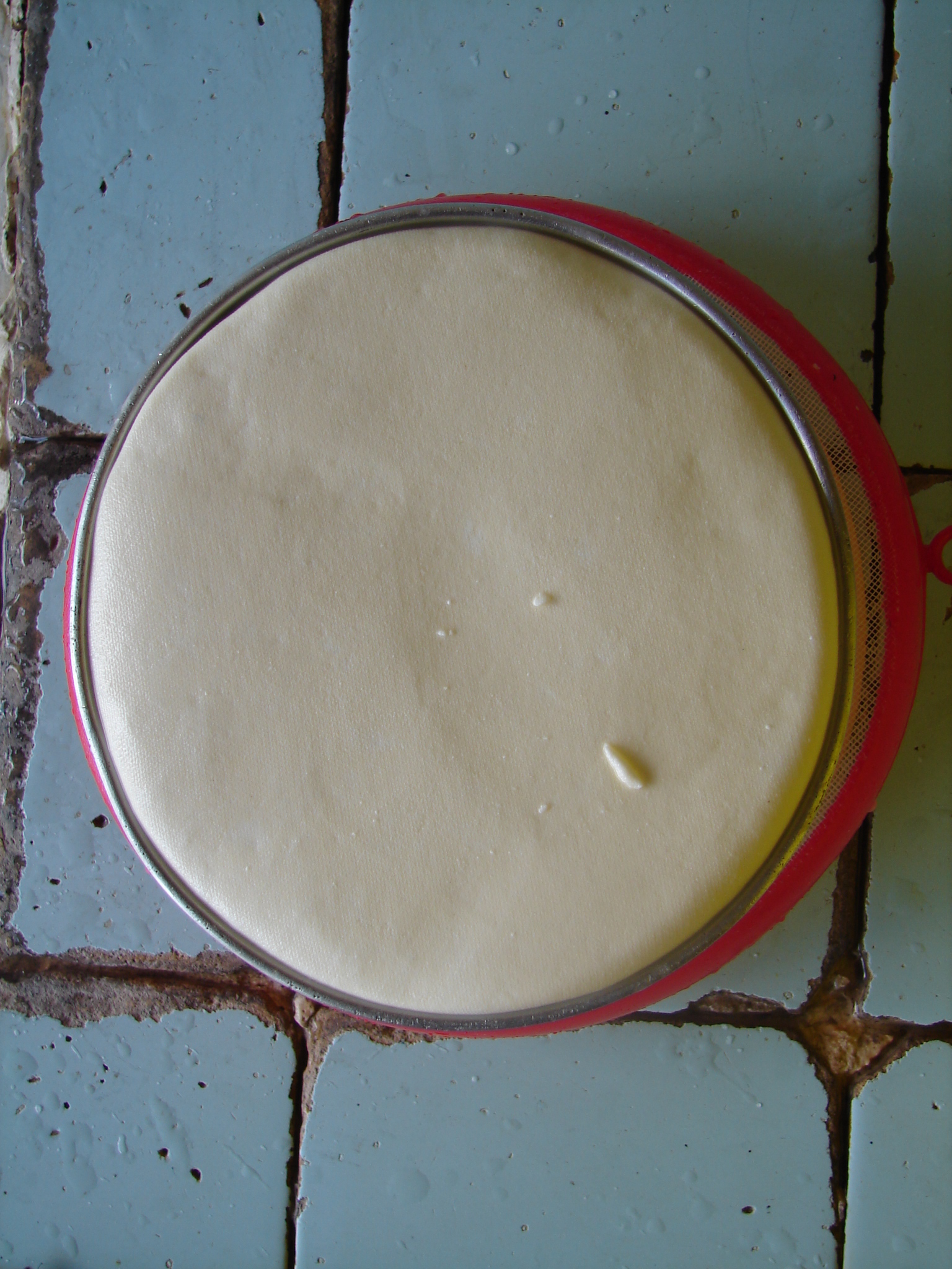 Frutal – Produção de polvilho – Massa de polvilho