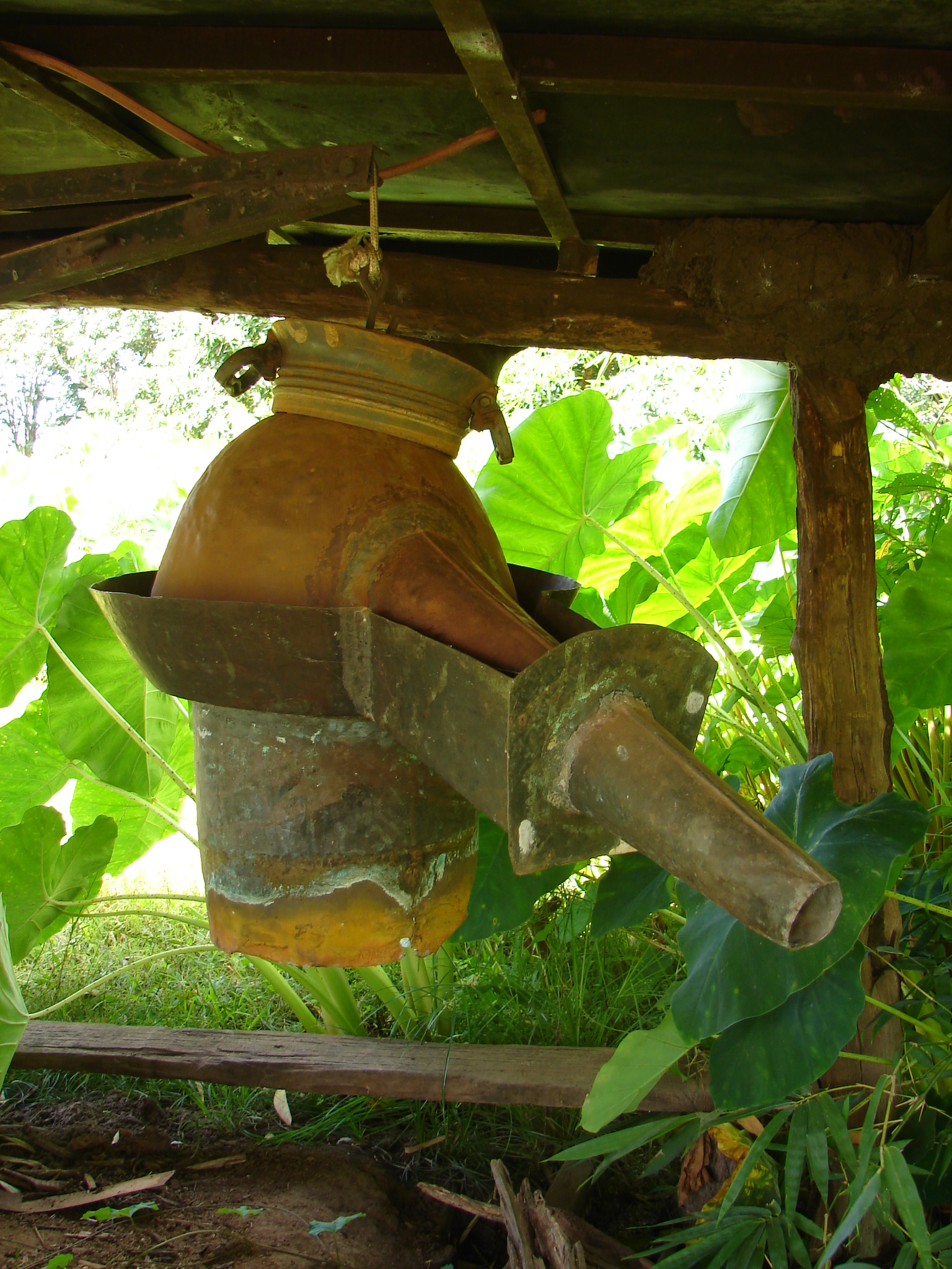 Frutal – Produção de polvilho – Decantador