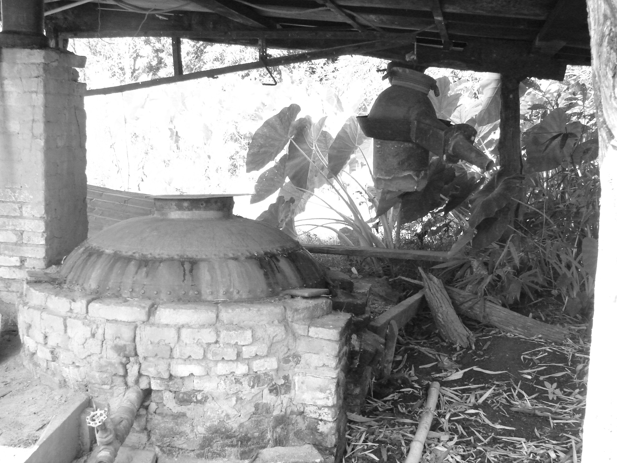 Frutal – Área de produção de polvilho